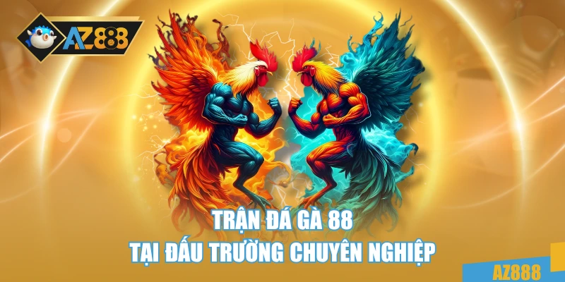 Trận đá gà 88 tại đấu trường chuyên nghiệp