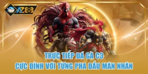Trực Tiếp Đá Gà C3 – Cực Đỉnh Với Từng Pha Đấu Mãn Nhãn